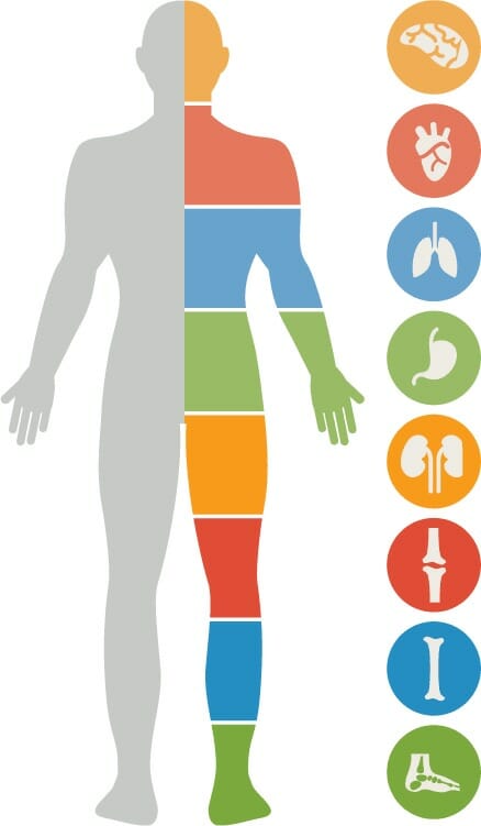 90-for-life-body